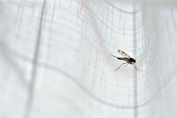 梦见蚊帐着火是什么意思 梦见蚊帐着火是什么意思