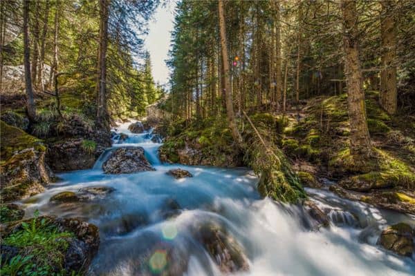 梦见泉水涌出是什么意思 梦见泉水涌出是什么意思