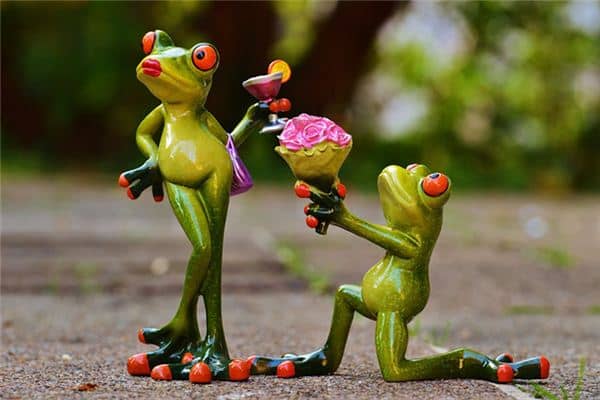 梦见拒绝求婚是什么意思 梦见拒绝求婚是什么意思