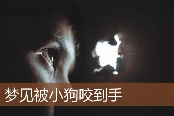 梦见被小狗咬到手