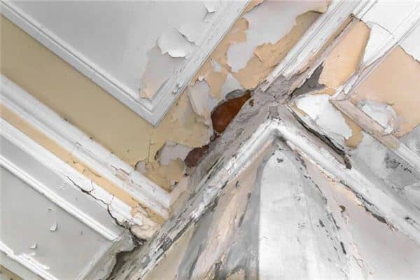 梦见楼上的水漏到我家 梦见楼上的水漏到我家