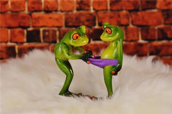 梦到内裤上有血 梦到内裤上有血