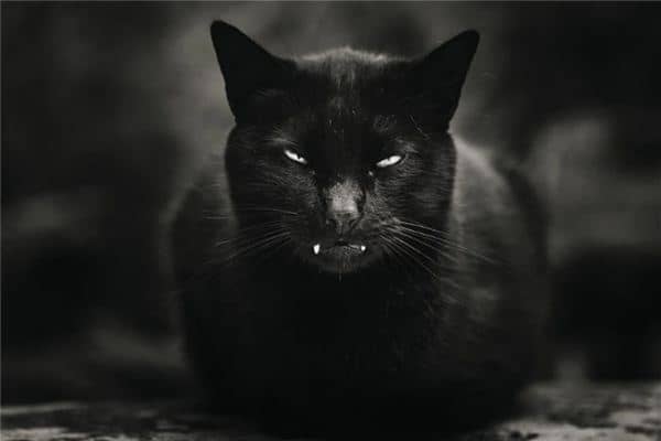 梦见怪兽追我是什么意思 梦见怪兽追我是什么意思