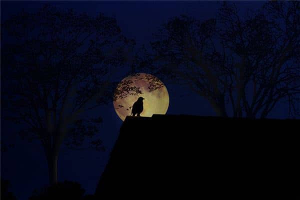 梦见在房顶上是什么意思 梦见在房顶上是什么意思