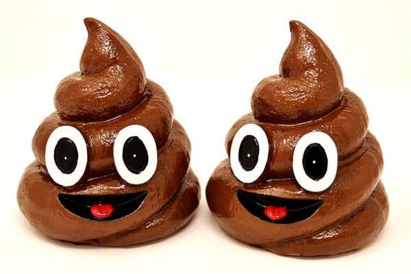 梦到到处都是屎 梦到到处都是屎