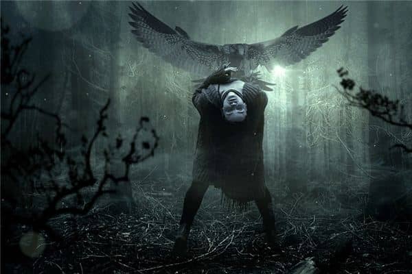 梦见鸟人抢尸是什么意思 梦见鸟人抢尸是什么意思