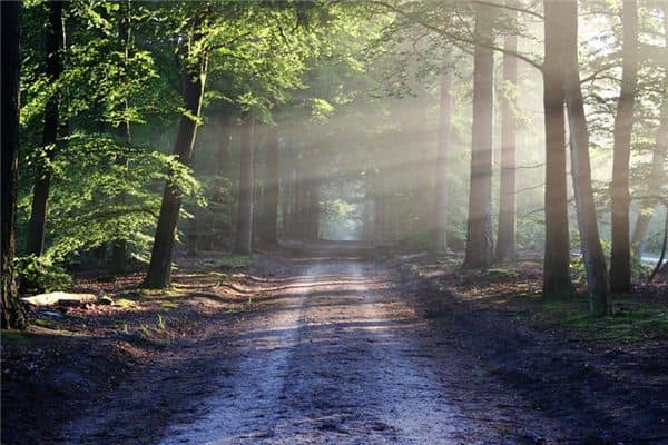 梦见路很难走是什么预兆 梦见路很难走是什么预兆