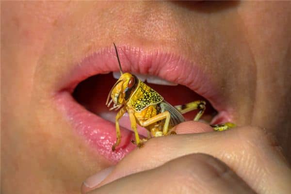 梦见嘴巴里有虫子 梦见嘴巴里有虫子