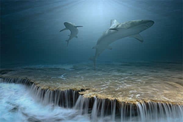 梦见很多大鱼是什么意思