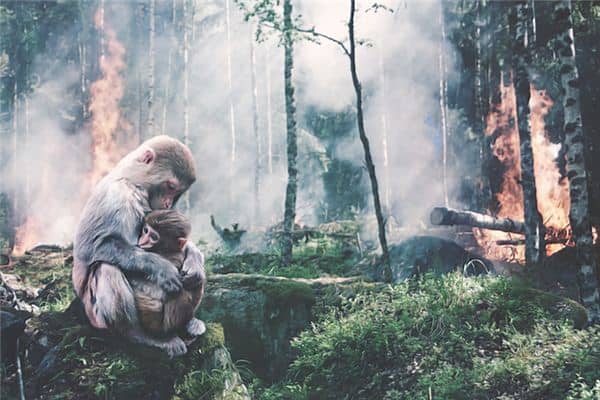 梦见火灾逃生是什么意思 梦见火灾逃生是什么意思