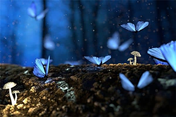 梦见飞虫成群是什么意思 梦见飞虫成群是什么意思