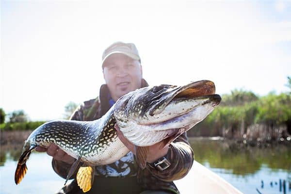 梦到抓到一条大鱼 梦到抓到一条大鱼