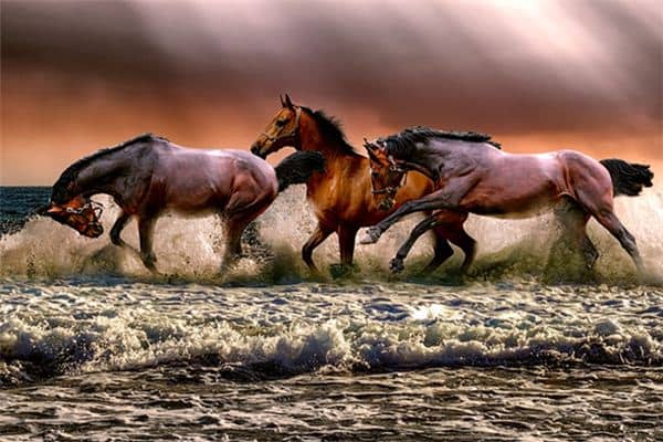 梦见一群红马是什么意思 梦见一群红马是什么意思