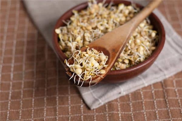 梦见豆子发芽是什么意思 梦见豆子发芽是什么意思