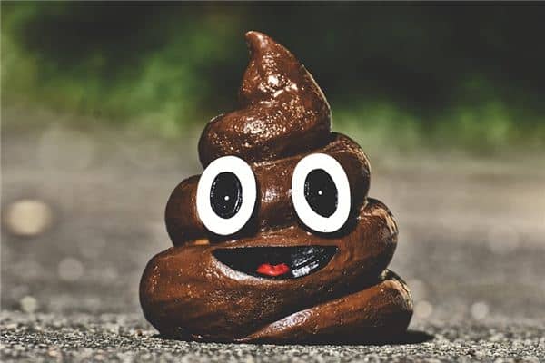 梦见小男孩拉屎 梦见小男孩拉屎