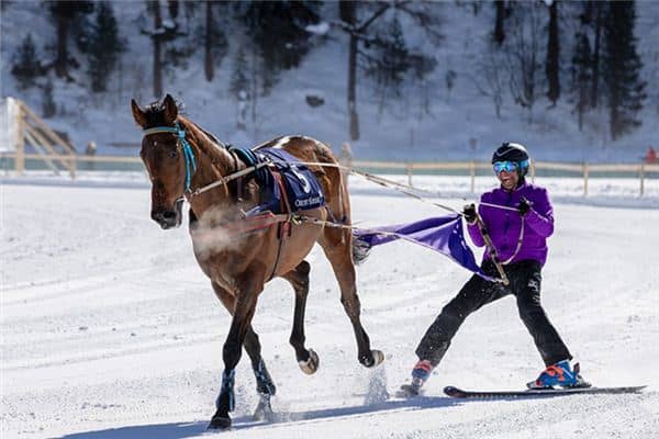 梦到刹不住车 梦到刹不住车