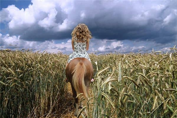 梦见在田里走是什么意思 梦见在田里走是什么意思