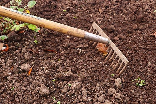 梦见开荒种地是什么意思 梦见开荒种地是什么意思