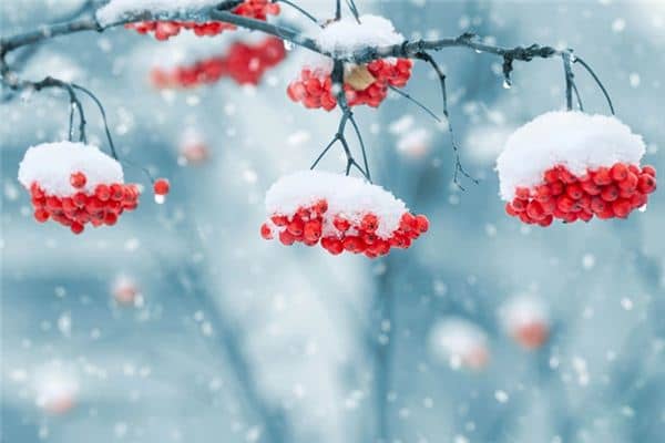 梦见夏天下雪是什么意思 梦见夏天下雪是什么意思