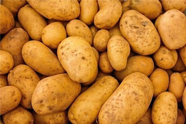 梦见满地土豆是什么意思