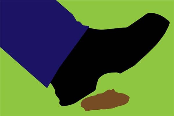 梦见脚踩到屎 梦见脚踩到屎