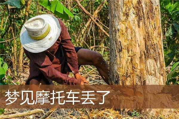 梦见摩托车丢了