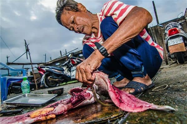 梦见别人杀鱼是什么意思 梦见别人杀鱼是什么意思