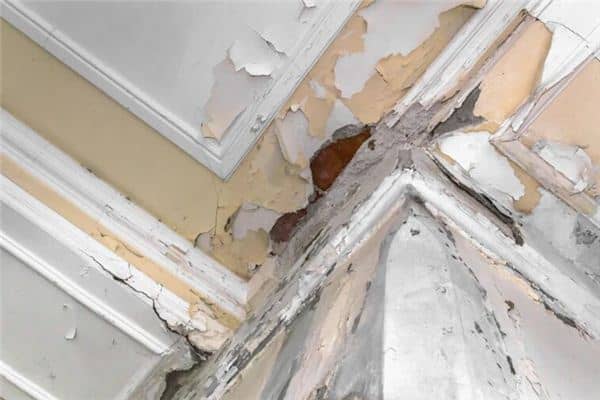 梦见楼上漏水是什么意思 梦见楼上漏水是什么意思