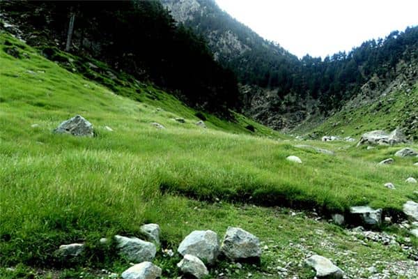 梦见滚下山坡是什么意思 梦见滚下山坡是什么意思