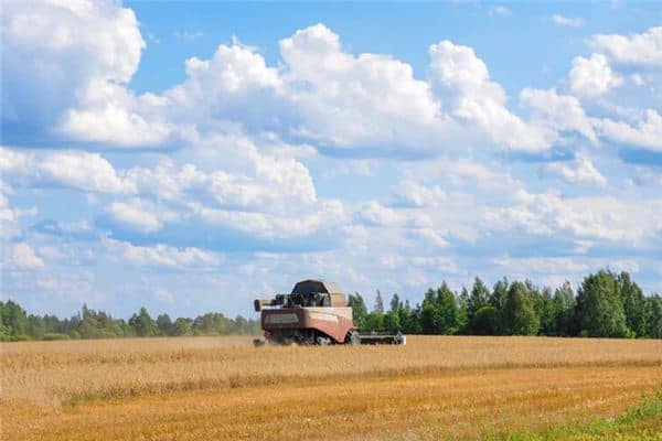 梦见收割庄稼是什么意思 梦见收割庄稼是什么意思