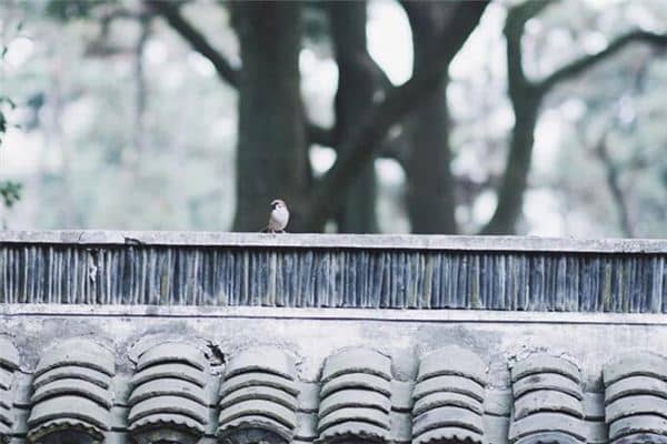 梦见翻墙而过是什么意思 梦见翻墙而过是什么意思