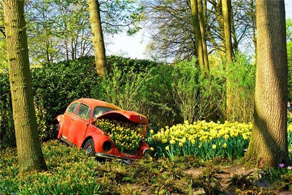 梦见车撞树上是什么意思 梦见车撞树上是什么意思