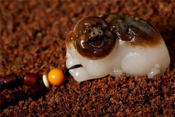 梦见别人杀猪是什么预兆 梦见别人杀猪是什么预兆