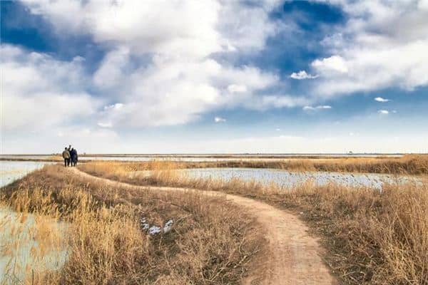 梦见没车回家是什么意思 梦见没车回家是什么意思