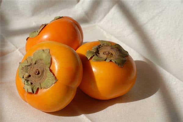 梦见捡红柿子是什么意思 梦见捡红柿子是什么意思