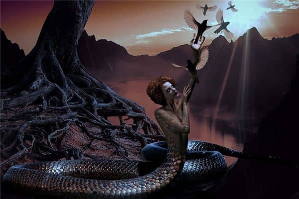 梦见蛇变成人是什么意思 梦见蛇变成人是什么意思