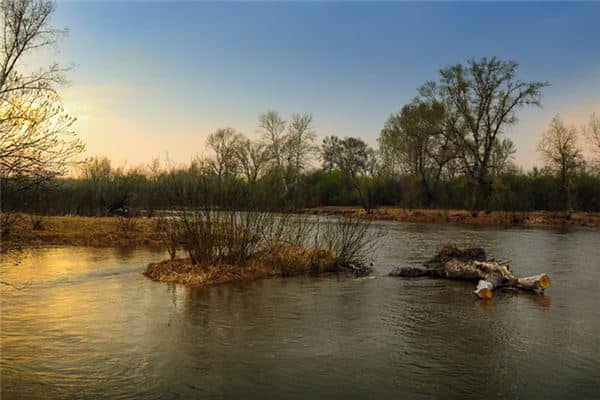 梦见洪水上涨是什么意思 梦见洪水上涨是什么意思