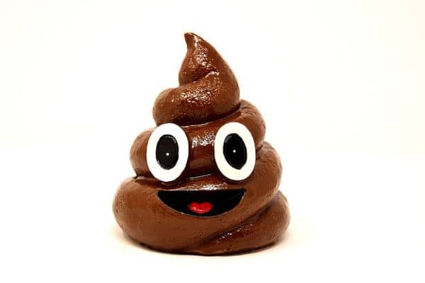 梦见随地大便是什么意思 梦见随地大便是什么意思