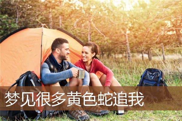 梦见很多黄色蛇追我