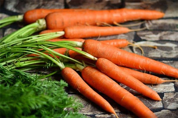 梦见吃红罗卜是什么意思 梦见吃红罗卜是什么意思