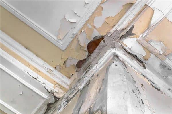 梦见天花板漏水 梦见天花板漏水