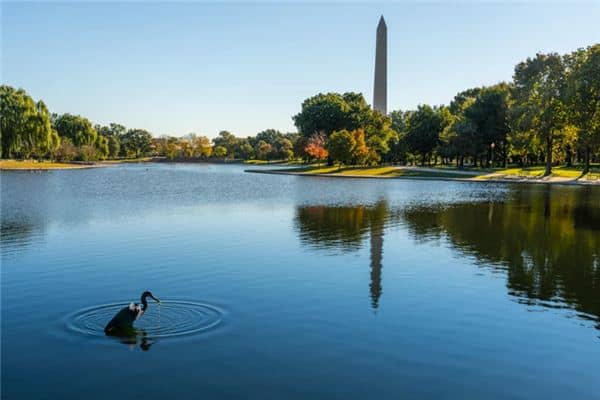 梦见鱼塘水满是什么意思 梦见鱼塘水满是什么意思