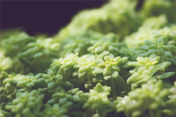 梦见腿上长草是什么意思 梦见腿上长草是什么意思