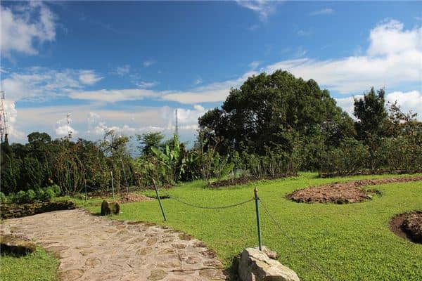 梦见一片绿地是什么意思 梦见一片绿地是什么意思