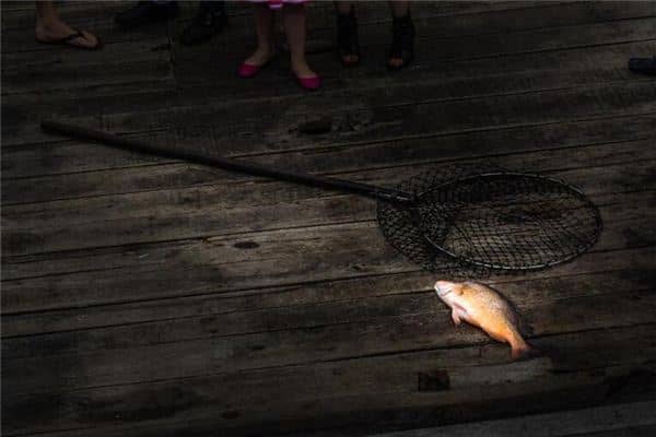 梦见开堂破肚是什么意思 梦见开堂破肚是什么意思