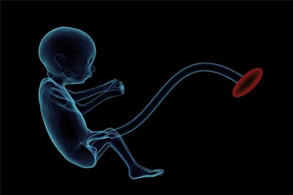 梦见胎儿在肚子里动 梦见胎儿在肚子里动
