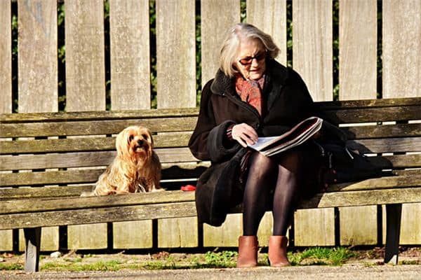 梦见男朋友的妈妈