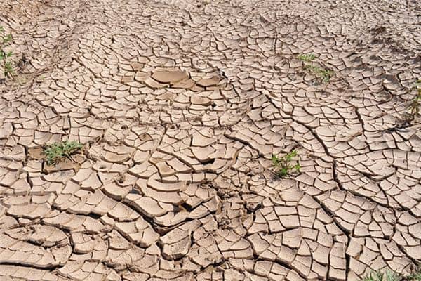 梦见海水干了是什么意思 梦见海水干了是什么意思