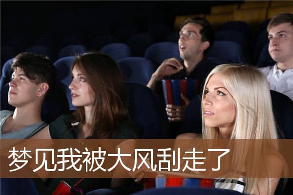 梦见我被大风刮走了