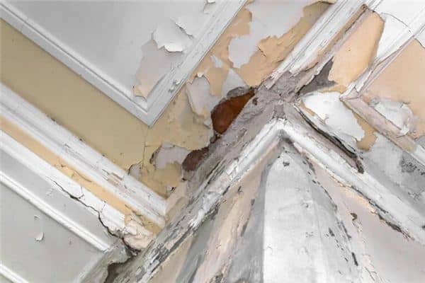 梦见房子漏雨是什么意思 梦见房子漏雨是什么意思